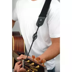 Planet Waves DGS15 Замок для ремня для гитары акустик Planet Waves DGS15 Замок для ремня для гитары акустик