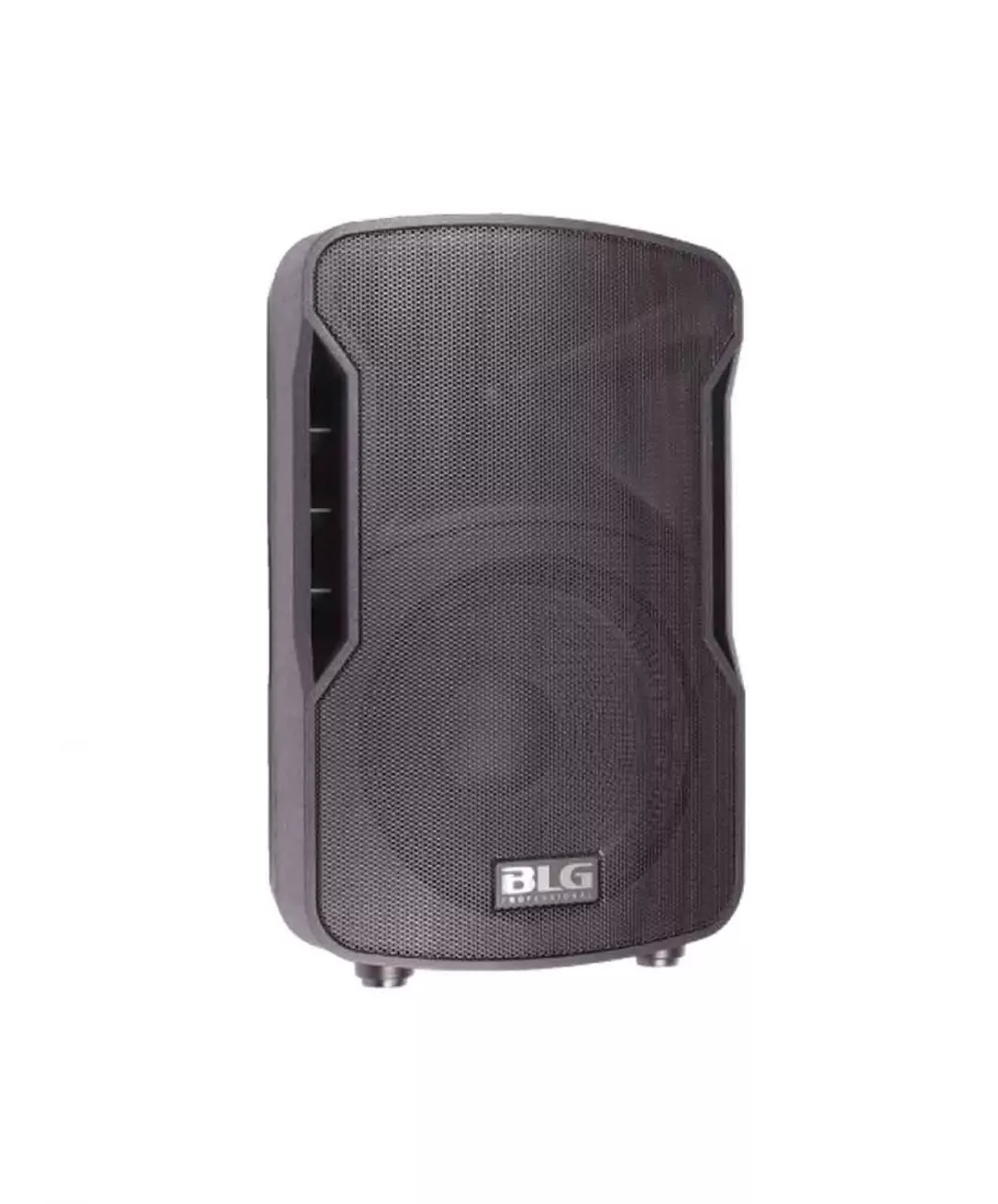 BLG BP13-10A10 акустическая система BLG BP13-10A10 акустическая система