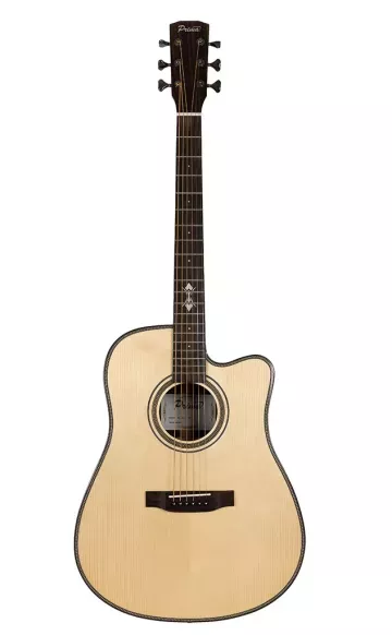 PRIMA MAG218C гитара акустическая PRIMA MAG218C гитара акустическая