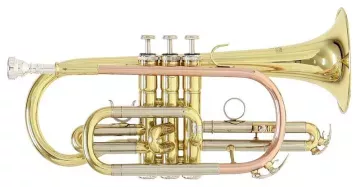 ROY BENSON CR-202 корнет ROY BENSON CR-202 корнет