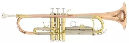 ROY BENSON TR-202G Bb труба (цвет золото) ROY BENSON TR-202G Bb труба (цвет золото)